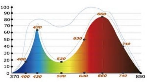 What You Really Need to Know About Grow Lights: LED output curve