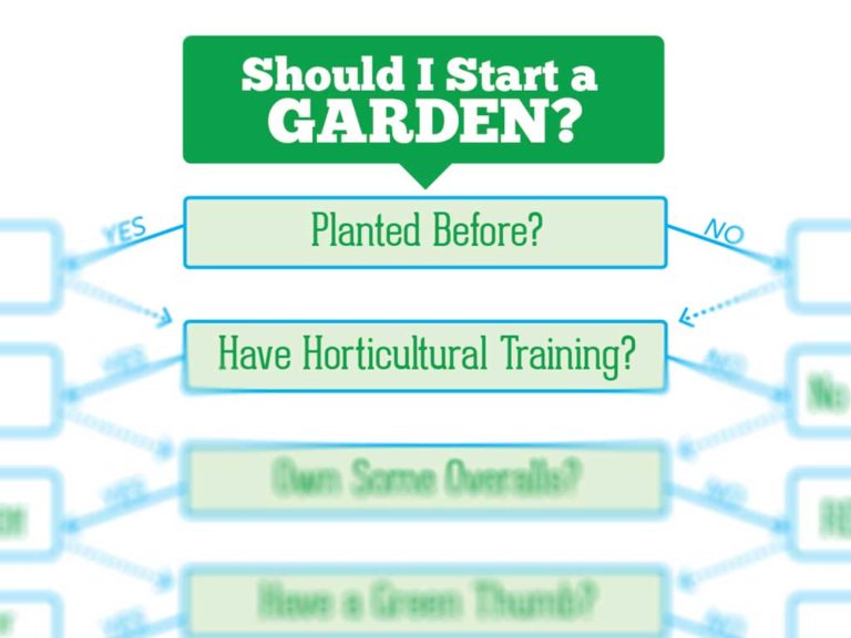 Should I Start Gardening, decision tree