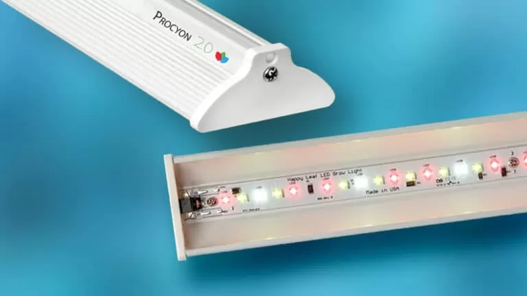 Procyon 2-0 Full Spectrum LED Grow Light in use