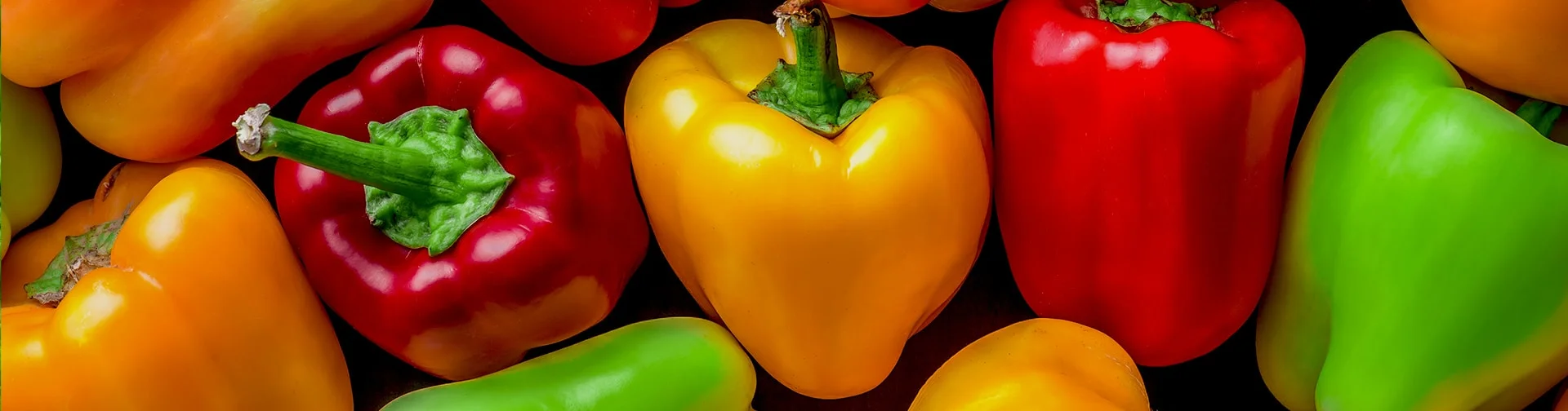 Close up of bell peppers LED grow light