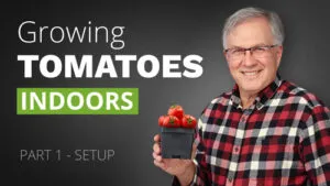 Happy-Leaf-Growing-Tomatoes-Indoors-Part-1