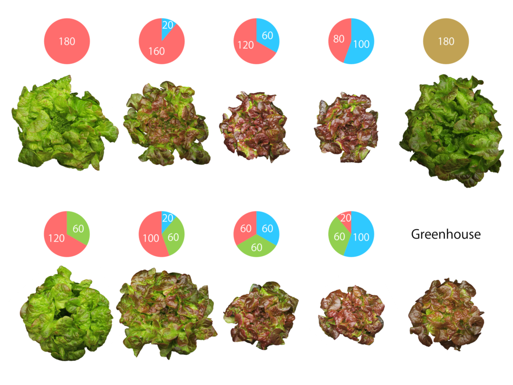 full spectrum grow light par ratio