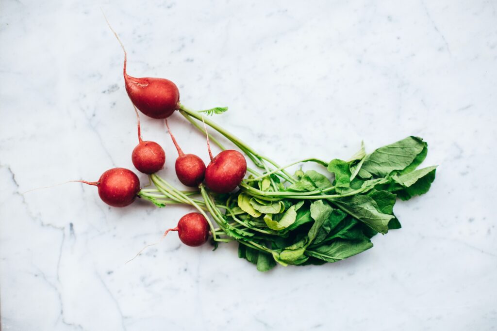 Growing Radishes Indoors