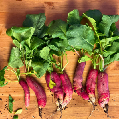 radishes on wood table