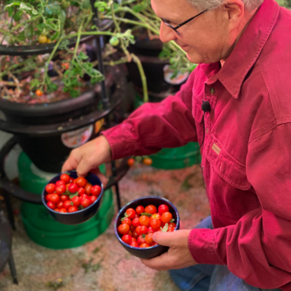 a man holding two bowls of tomatoes grown under lights