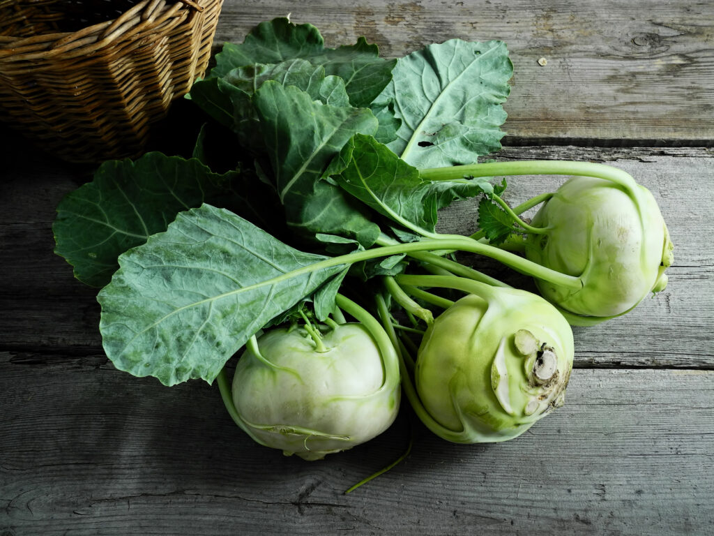 Growing Kohlrabi Indoors image