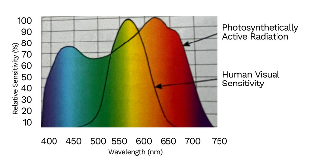 Grow Lights PAR graph 