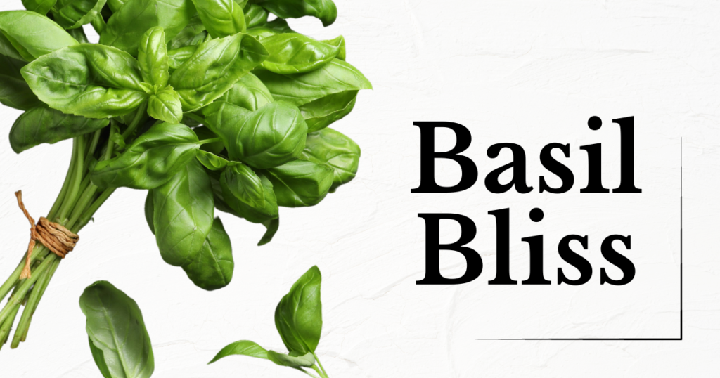 Growing Basil Indoors