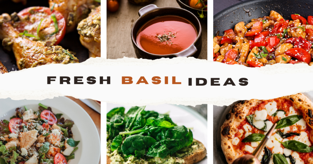 basil recipe ideas