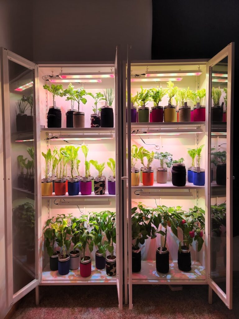 Garden setup in cabinet