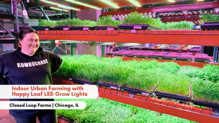 Closed Loop Farms Grow Light Testimonial