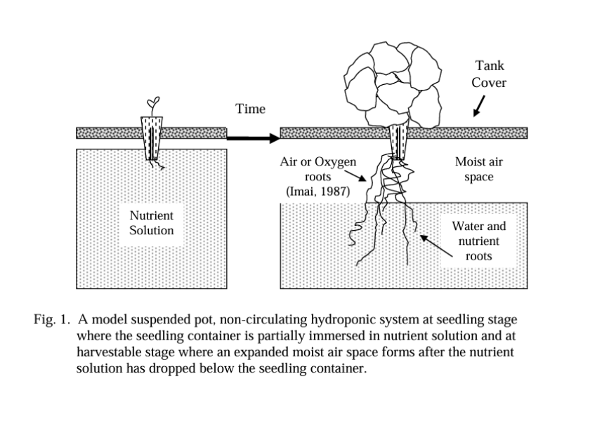 figure 1 from non-circulating hydroponics article