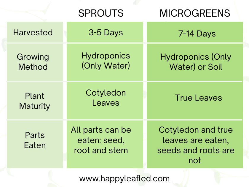 chart showing differences in key details between sprouts and microgreens