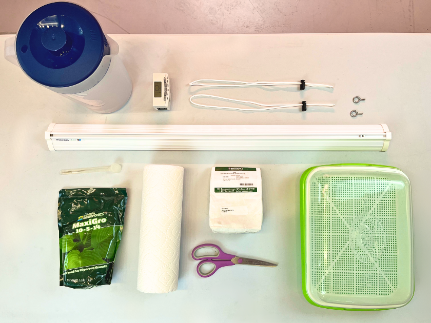 microgreen growing supplies laid out on a white table