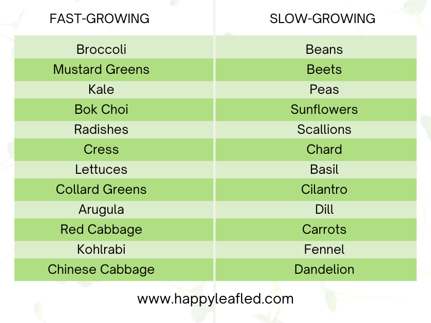 chart listing fast-growing microgreens vs slow growing microgreens