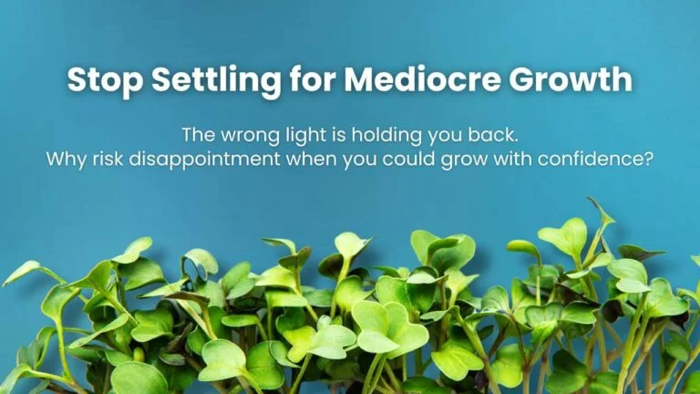 Microgreens on blue background with text - stop settling for mediocre growth